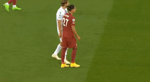 努涅斯安德森2.gif